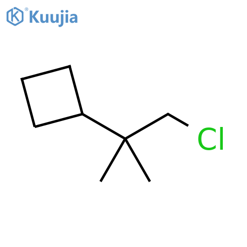 Cyclobutane, (2-chloro-1,1-dimethylethyl)- structure
