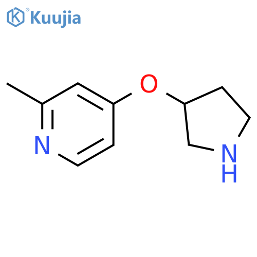 2-methyl-4-(pyrrolidin-3-yloxy)pyridine structure