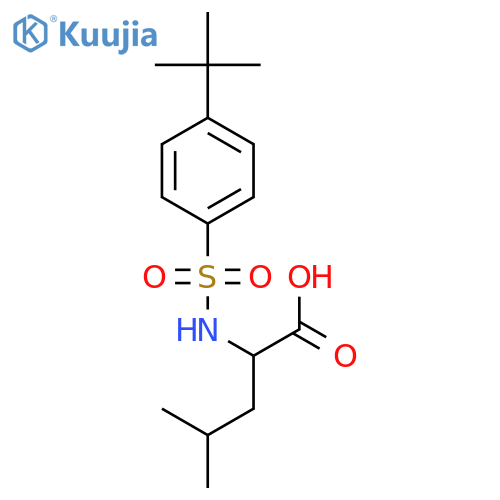 2-(4-tert-butylbenzenesulfonamido)-4-methylpentanoic acid structure
