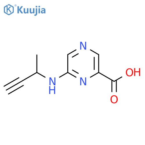 6-(but-3-yn-2-yl)aminopyrazine-2-carboxylic acid structure