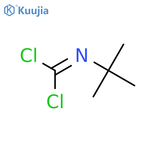 N-tert-butyl-1-chloromethanecarbonimidoyl chloride structure