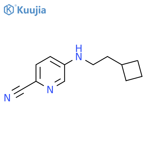 5-(2-cyclobutylethyl)aminopyridine-2-carbonitrile structure