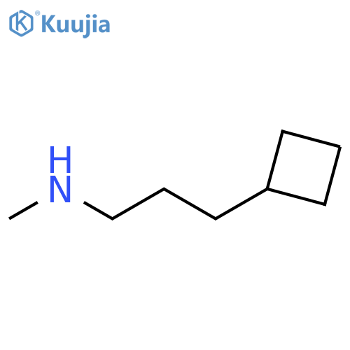 (3-cyclobutylpropyl)(methyl)amine structure