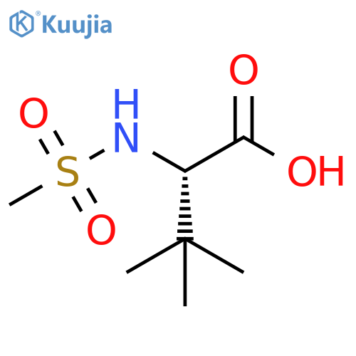 2-methanesulfonamido-3,3-dimethylbutanoic acid structure