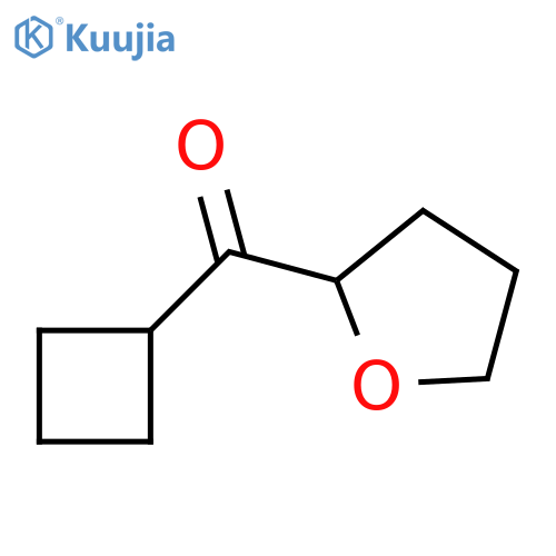 2-cyclobutanecarbonyloxolane structure