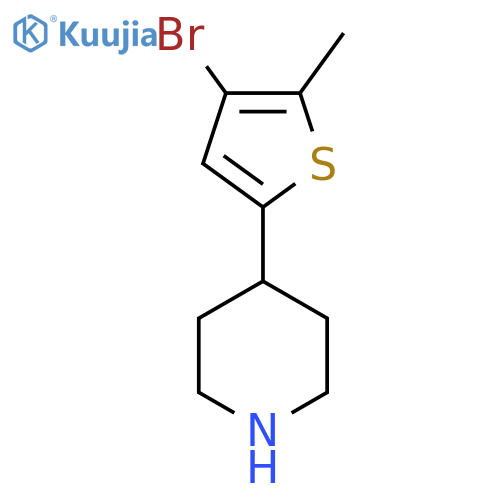 4-(4-bromo-5-methylthiophen-2-yl)piperidine structure