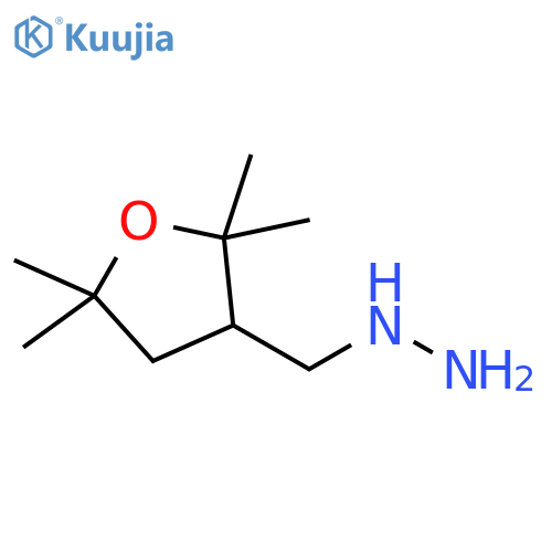 (2,2,5,5-tetramethyloxolan-3-yl)methylhydrazine structure