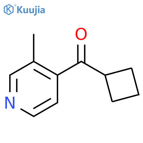Cyclobutyl-(3-methyl-pyridin-4-yl)-methanone structure