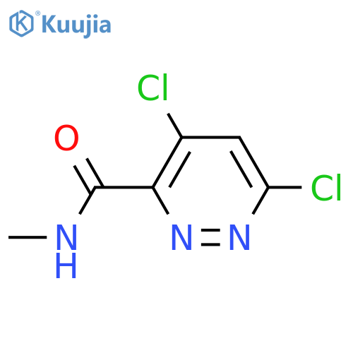 3-Pyridazinecarboxamide, 4,6-dichloro-N-methyl- structure