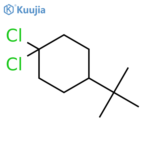 CYCLOHEXANE, 1,1-DICHLORO-4-(1,1-DIMETHYLETHYL)- structure