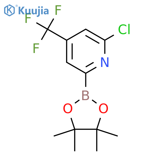 2-Chloro-4-(trifluoromethyl)pyridine-2-boronic acid pinacol ester structure