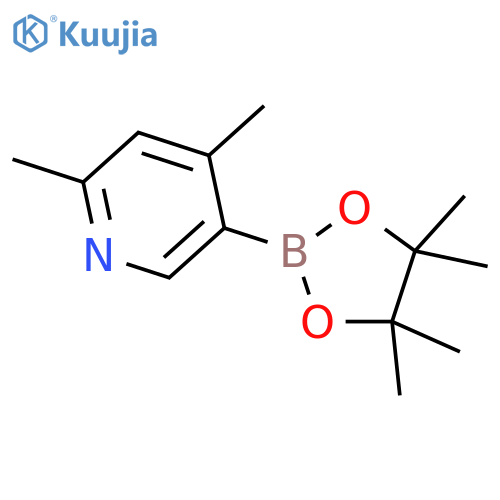4,6-Dimethylpyridine-3-boronic Acid Pinacol Ester structure