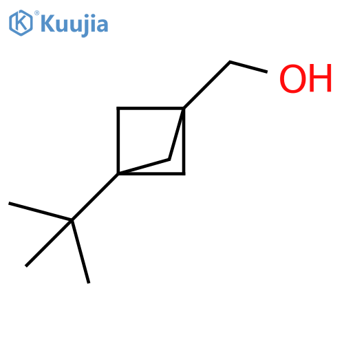 {3-tert-butylbicyclo[1.1.1]pentan-1-yl}methanol structure