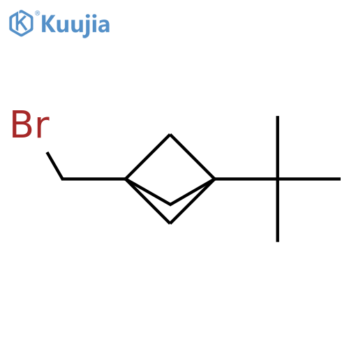 1-(bromomethyl)-3-tert-butylbicyclo[1.1.1]pentane structure