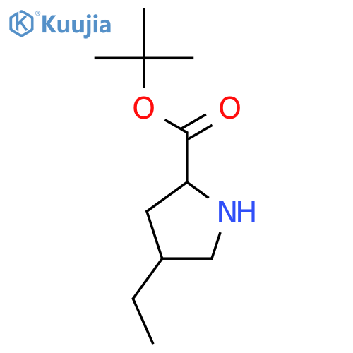 rac-tert-butyl (2R,4R)-4-ethylpyrrolidine-2-carboxylate structure