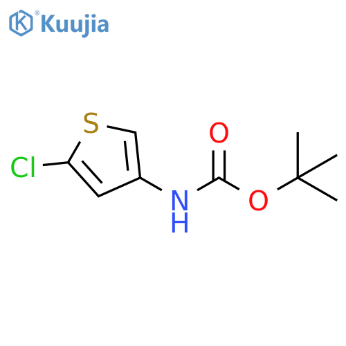 tert-butyl N-(5-chlorothiophen-3-yl)carbamate structure