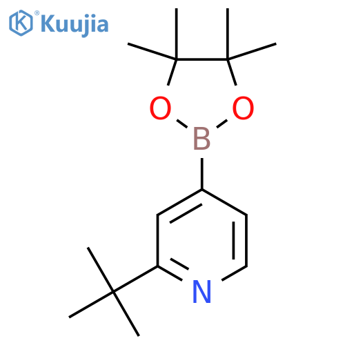 2-tert-butyl-4-(4,4,5,5-tetramethyl-1,3,2-dioxaborolan-2-yl)pyridine structure
