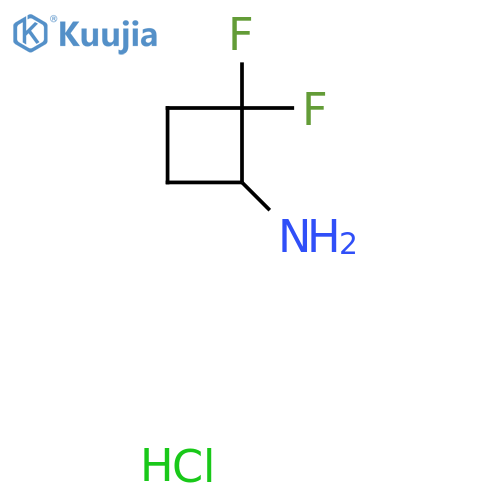 2,2-difluorocyclobutan-1-amine hydrochloride structure