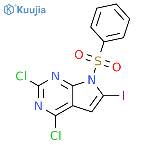 7-(benzenesulfonyl)-2,4-dichloro-6-iodo-7H-pyrrolo[2,3-d]pyrimidine structure