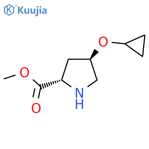 methyl (2S,4R)-4-cyclopropoxypyrrolidine-2-carboxylate structure