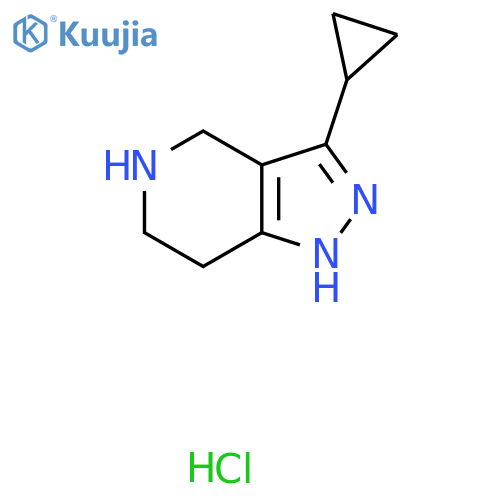 3-cyclopropyl-4,5,6,7-tetrahydro-1H-pyrazolo4,3-cpyridine hydrochloride structure