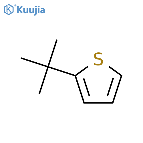 2-(tert-Butyl)thiophene structure