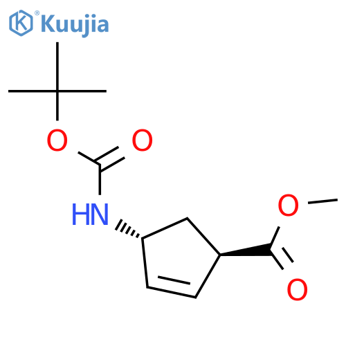 (1R,4R)-4-(1,1-Dimethylethoxy)carbonylamino-2-cyclopentene-1-carboxylic Acid Methyl Ester structure