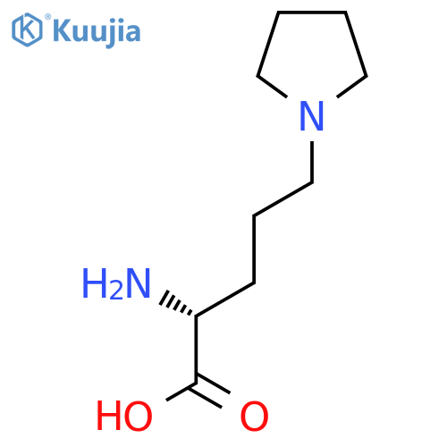(2R)-2-amino-5-(pyrrolidin-1-yl)pentanoic acid structure