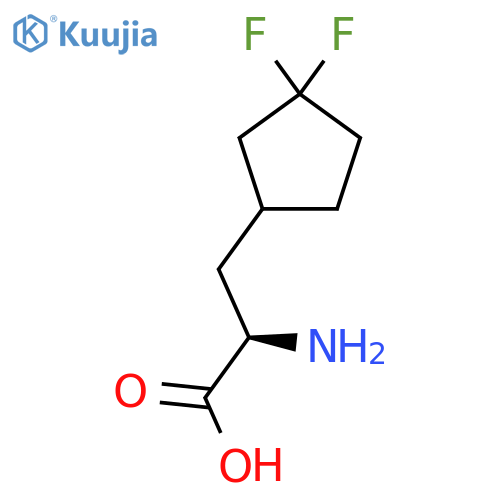 (2R)-2-amino-3-(3,3-difluorocyclopentyl)propanoic acid structure