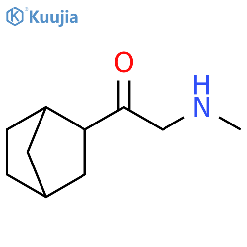 1-{bicyclo2.2.1heptan-2-yl}-2-(methylamino)ethan-1-one structure