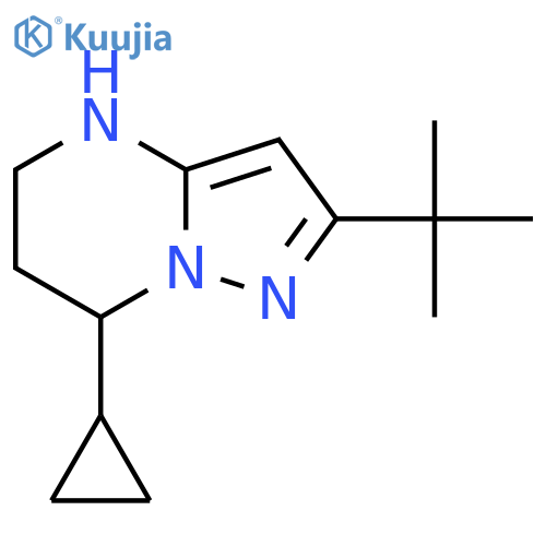 2-tert-butyl-7-cyclopropyl-4H,5H,6H,7H-pyrazolo1,5-apyrimidine structure