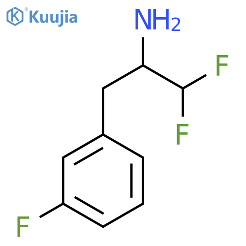 1,1-difluoro-3-(3-fluorophenyl)propan-2-amine structure