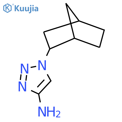 1-{bicyclo2.2.1heptan-2-yl}-1H-1,2,3-triazol-4-amine structure