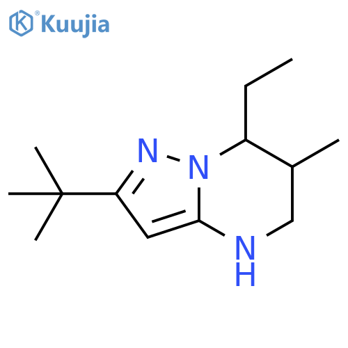 2-tert-butyl-7-ethyl-6-methyl-4H,5H,6H,7H-pyrazolo1,5-apyrimidine structure