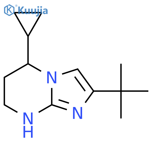 2-tert-butyl-5-cyclopropyl-5H,6H,7H,8H-imidazo1,2-apyrimidine structure