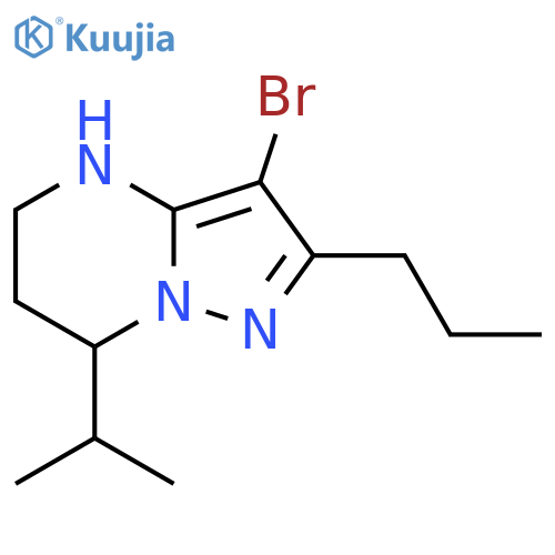 3-bromo-7-(propan-2-yl)-2-propyl-4H,5H,6H,7H-pyrazolo1,5-apyrimidine structure