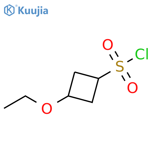 3-ethoxycyclobutane-1-sulfonyl chloride structure