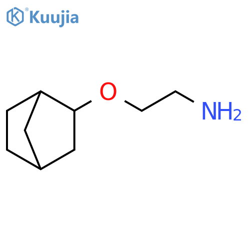2-{bicyclo2.2.1heptan-2-yloxy}ethan-1-amine structure