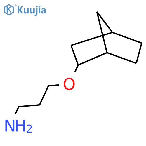 3-{bicyclo2.2.1heptan-2-yloxy}propan-1-amine structure