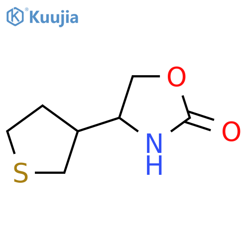 4-(thiolan-3-yl)-1,3-oxazolidin-2-one structure