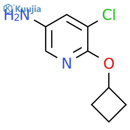 5-Chloro-6-cyclobutoxypyridin-3-amine structure