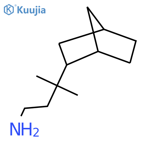 3-{bicyclo2.2.1heptan-2-yl}-3-methylbutan-1-amine structure
