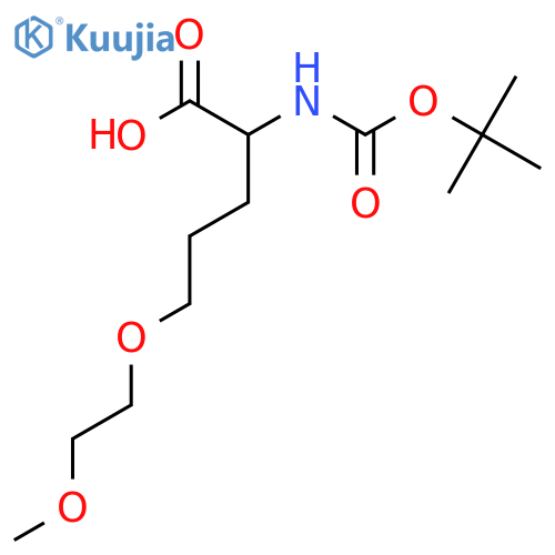 2-{(tert-butoxy)carbonylamino}-5-(2-methoxyethoxy)pentanoic acid structure
