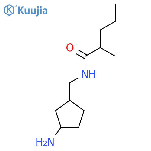 N-[(3-aminocyclopentyl)methyl]-2-methylpentanamide structure