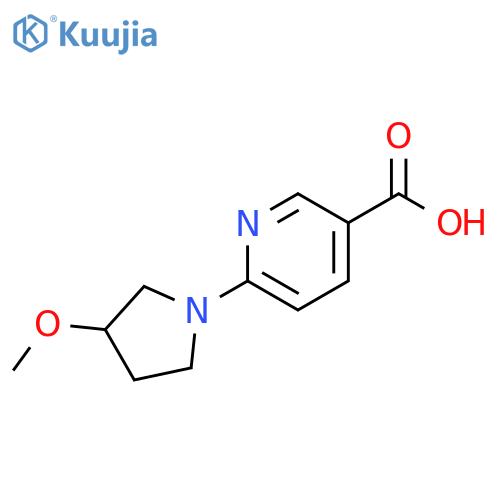 6-(3-methoxypyrrolidin-1-yl)nicotinic acid structure