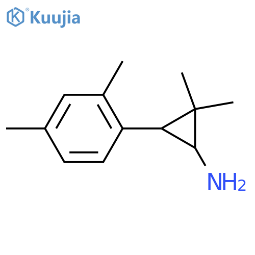 3-(2,4-dimethylphenyl)-2,2-dimethylcyclopropan-1-amine structure