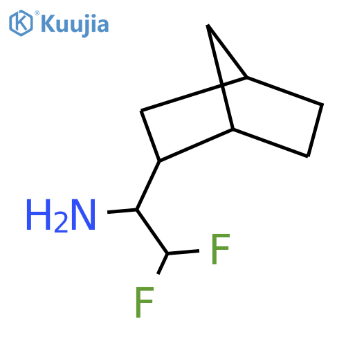 1-{bicyclo2.2.1heptan-2-yl}-2,2-difluoroethan-1-amine structure