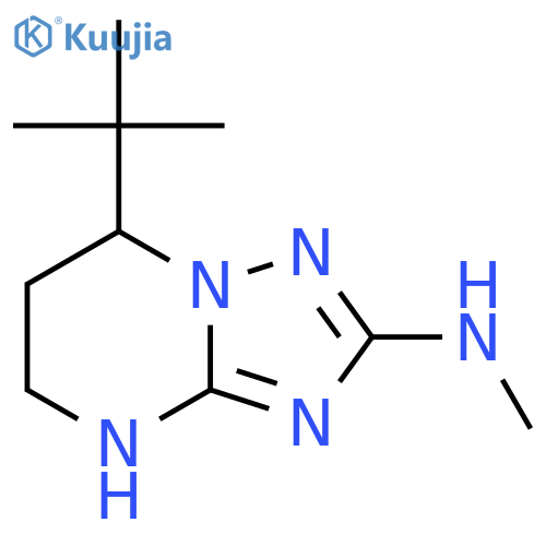 7-tert-butyl-N-methyl-4H,5H,6H,7H-1,2,4triazolo1,5-apyrimidin-2-amine structure