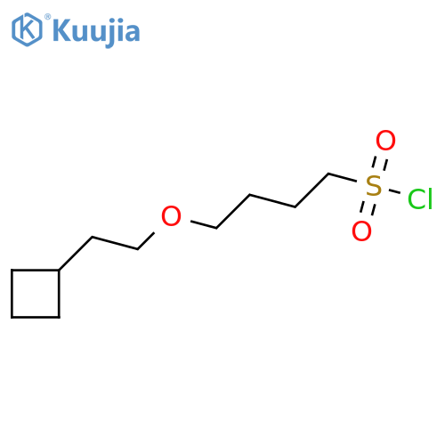 4-(2-cyclobutylethoxy)butane-1-sulfonyl chloride structure