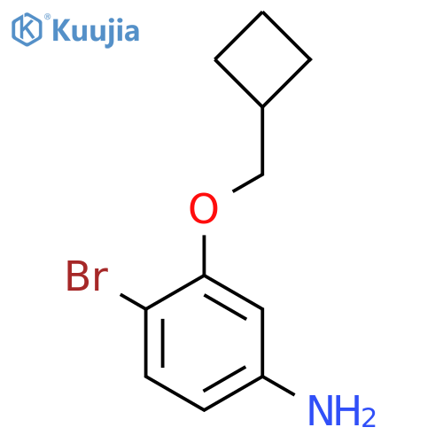 4-Bromo-3-(cyclobutylmethoxy)aniline structure